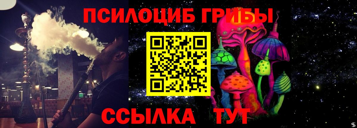 Ноябрьск  Галлюциногенные грибы Cubensis  Псилоцибиновые грибы Psilocybine cubensis  Вход с VPN 